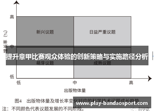 提升意甲比赛观众体验的创新策略与实施路径分析