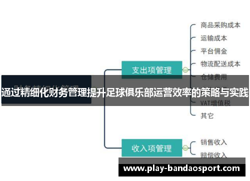 通过精细化财务管理提升足球俱乐部运营效率的策略与实践