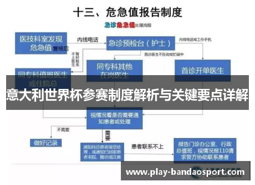 意大利世界杯参赛制度解析与关键要点详解
