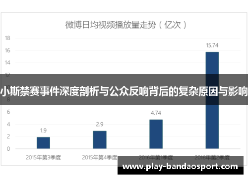小斯禁赛事件深度剖析与公众反响背后的复杂原因与影响