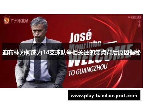 迪布林为何成为14支球队争相关注的焦点背后原因揭秘 迪布林为何成为14支球队争相关注的焦点背后原因揭秘